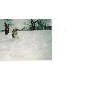 Meet your Posher, Debbie